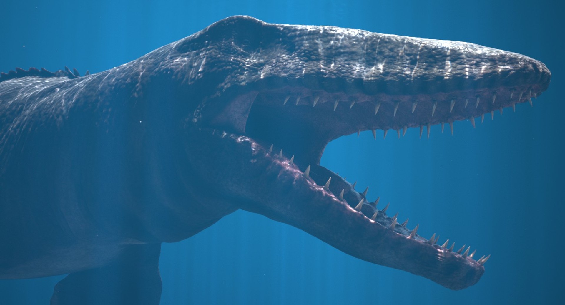 rigged mosasaurus 3D model https://p.turbosquid.com/ts-thumb/8O/tBVNNp/1uE8q0gY/mosa_cam04/jpg/1546002672/1920x1080/fit_q87/58840e38bd51e965463afcdfec437c7db0159363/mosa_cam04.jpg