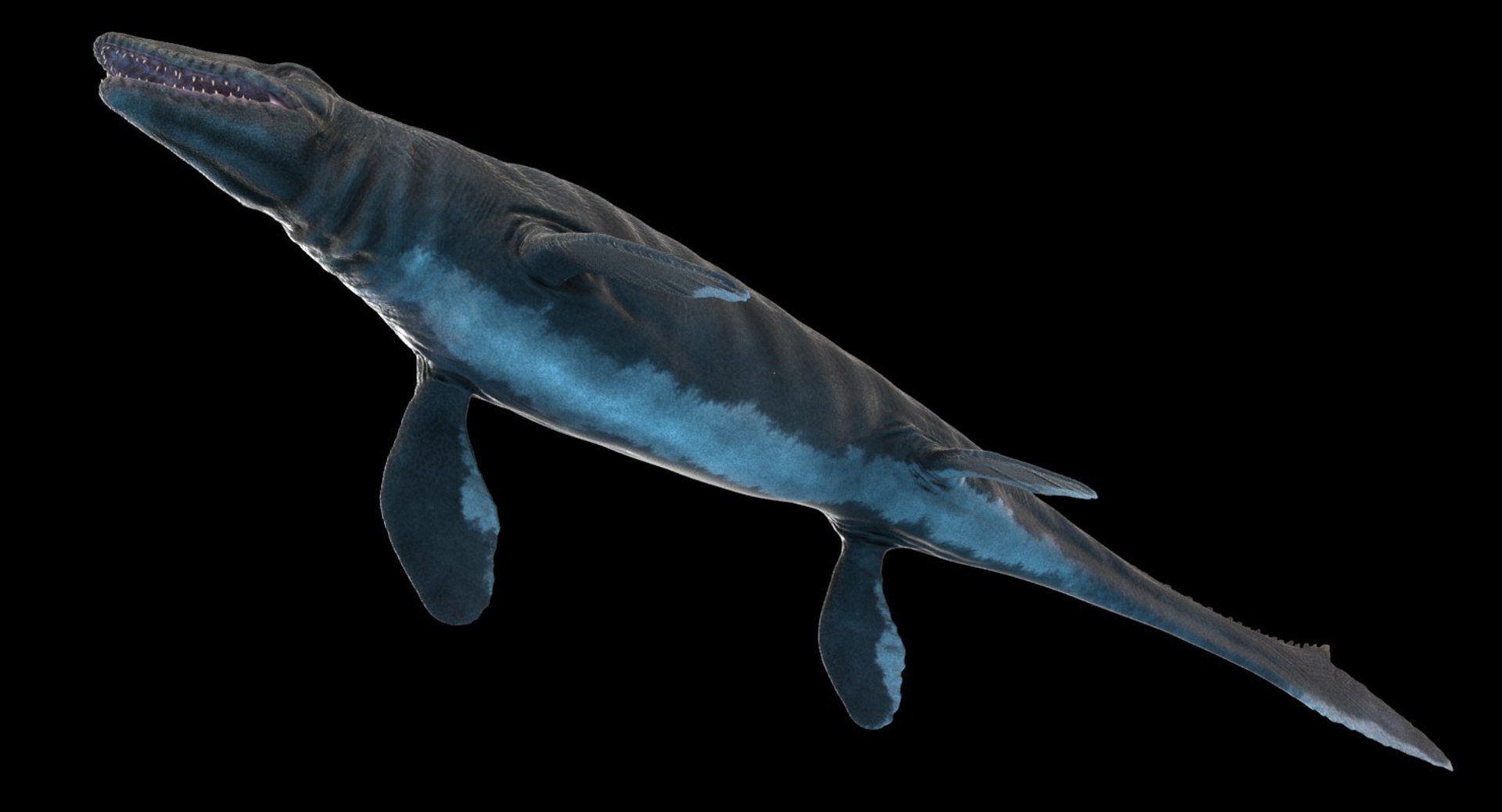 rigged mosasaurus 3D model https://p.turbosquid.com/ts-thumb/8O/tBVNNp/22uSqOM7/mosasaurus_t_v18/jpg/1547118268/1920x1080/fit_q87/c65c28cda9875d1d8bc3ec78f1d3921107546c42/mosasaurus_t_v18.jpg