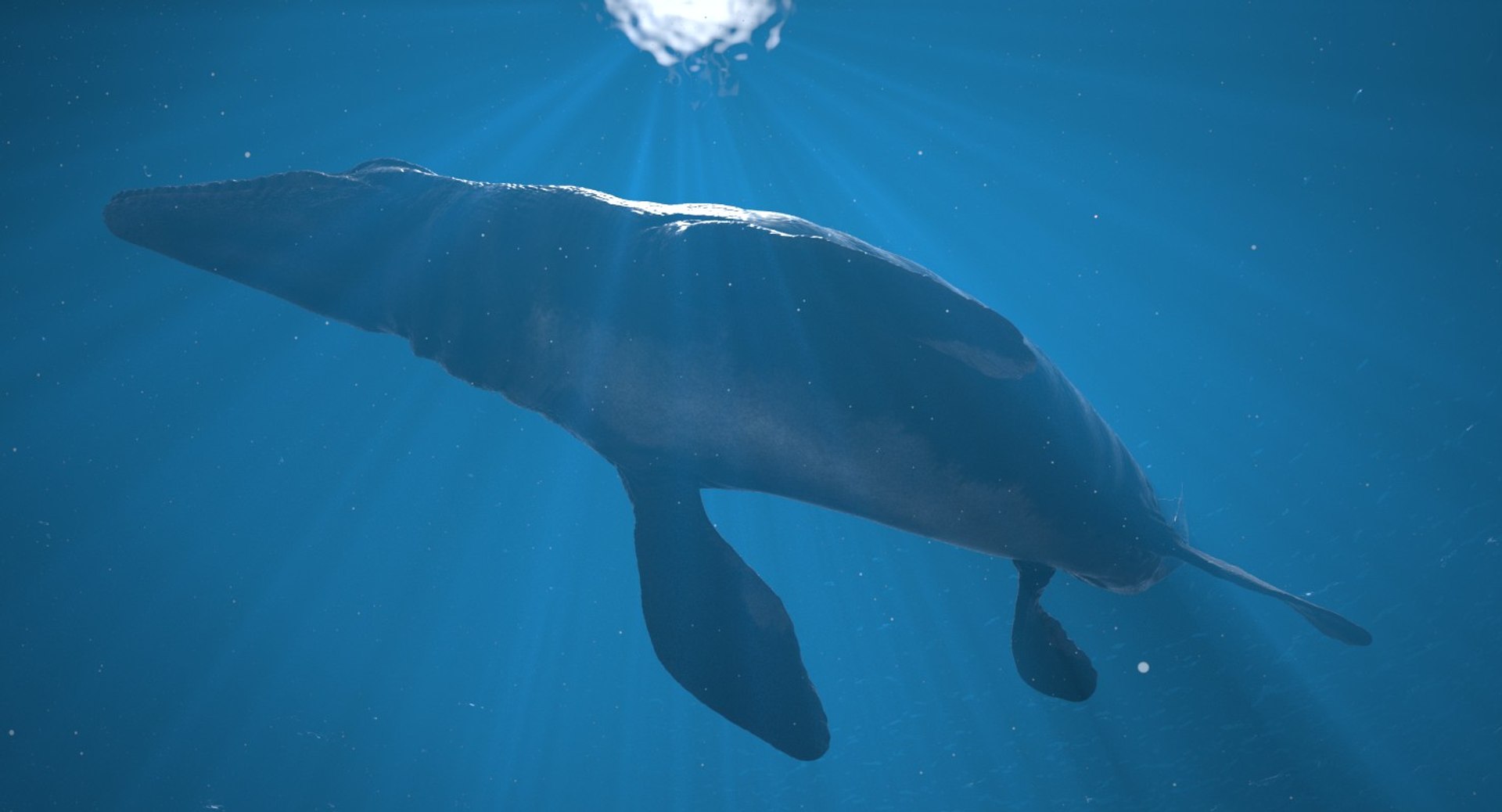 rigged mosasaurus 3D model https://p.turbosquid.com/ts-thumb/8O/tBVNNp/TJjOdFaJ/mosa_cam05/jpg/1546002672/1920x1080/fit_q87/90082d1bb1bc1bd1de07967769d609e23d1dae2c/mosa_cam05.jpg