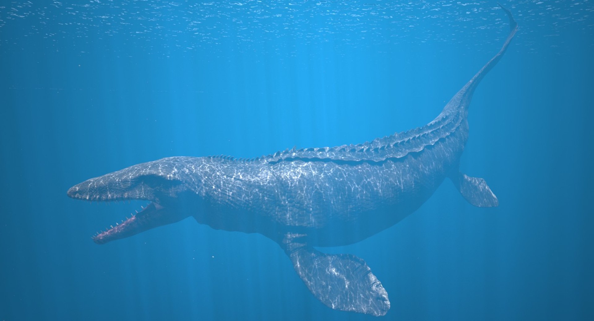 Rigged Mosasaurus 3D Model - TurboSquid 1361456