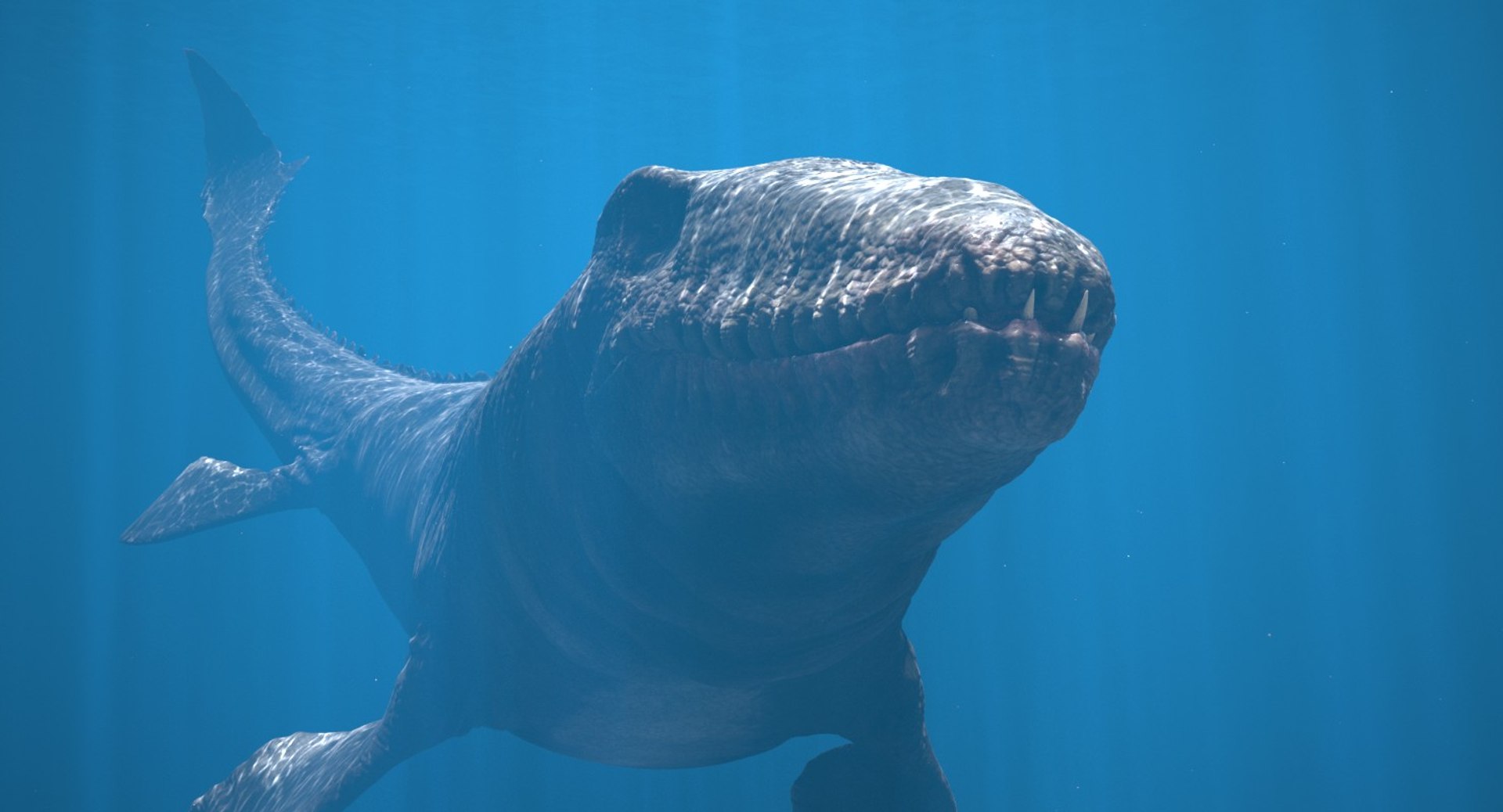 rigged mosasaurus 3D model https://p.turbosquid.com/ts-thumb/8O/tBVNNp/jjWRX64j/mosa_cam03b/jpg/1546002672/1920x1080/fit_q87/75b009e1d03870902d96d80ece02ee7535bc7a5a/mosa_cam03b.jpg