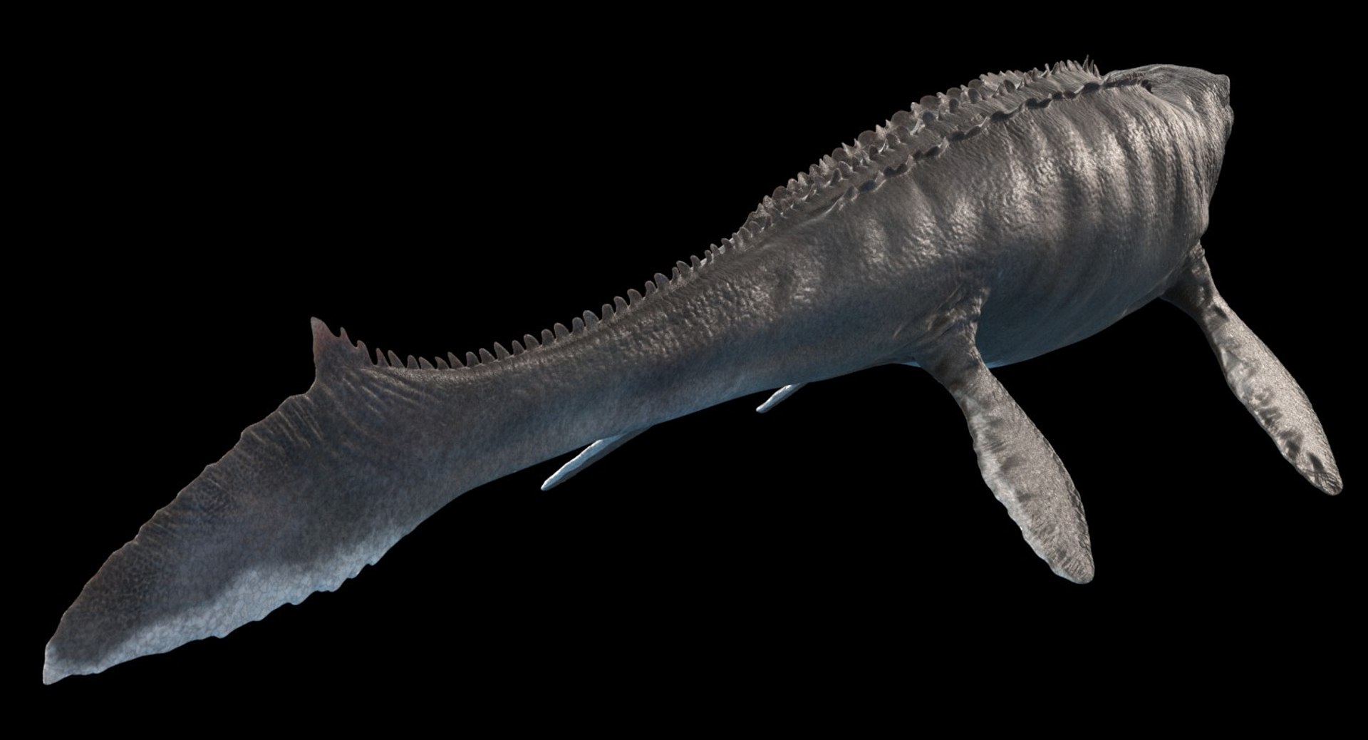 rigged mosasaurus 3D model https://p.turbosquid.com/ts-thumb/8O/tBVNNp/kAtEJIWb/mosasaurus_t_v17/jpg/1547118268/1920x1080/fit_q87/bb870e1b1c50926b197371363ec86096e5aa3ce6/mosasaurus_t_v17.jpg