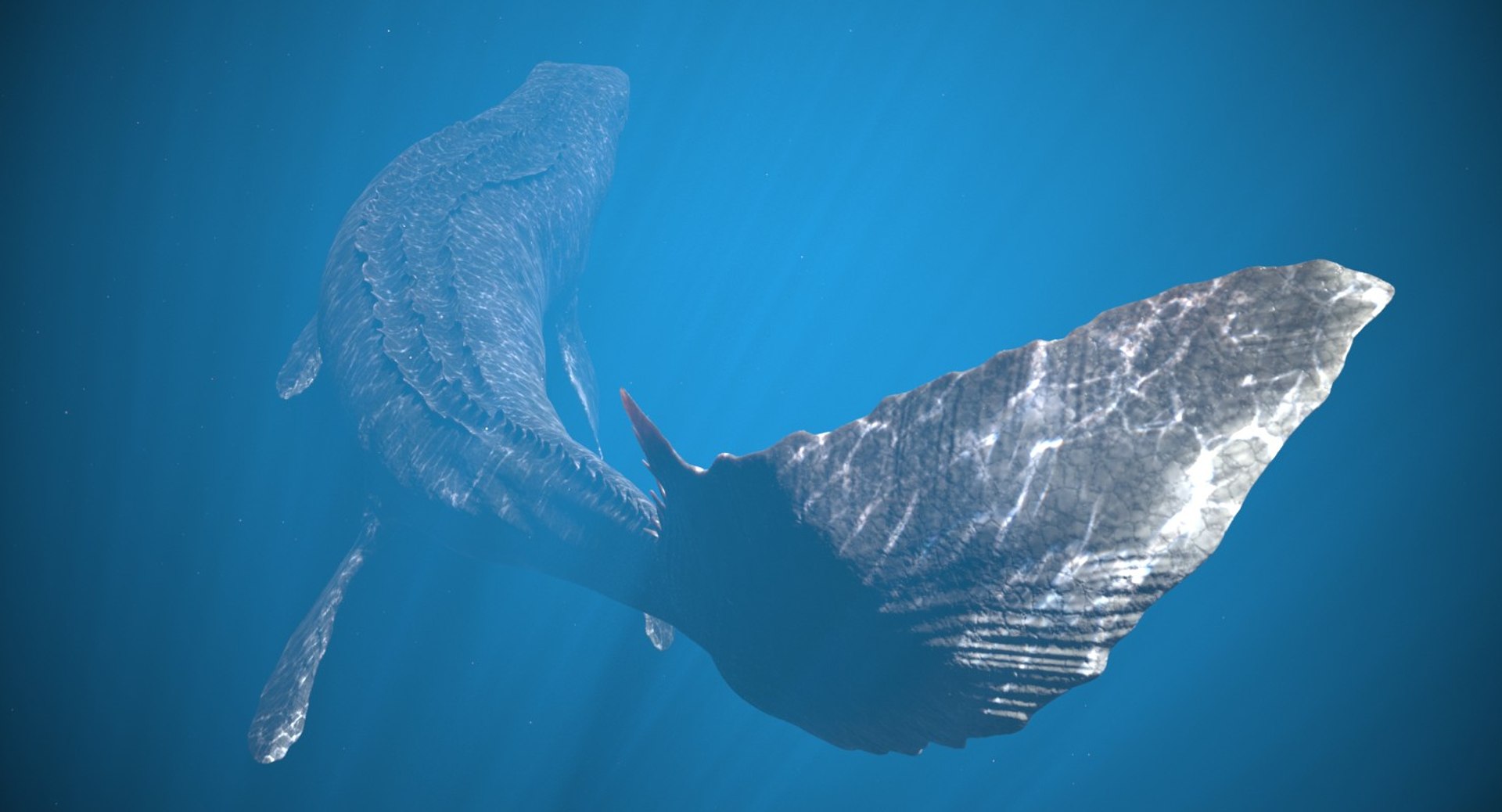 rigged mosasaurus 3D model https://p.turbosquid.com/ts-thumb/8O/tBVNNp/pBtbWkD5/mosa_cam02/jpg/1546002672/1920x1080/fit_q87/d042270ec0de8d3741d9a2848e74bb5b1d71d979/mosa_cam02.jpg