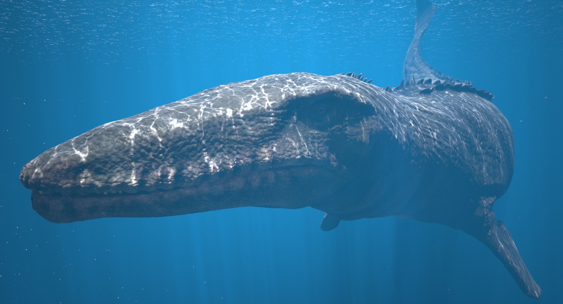 Rigged Mosasaurus 3D Model - TurboSquid 1361456