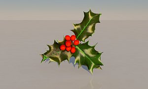 Holly