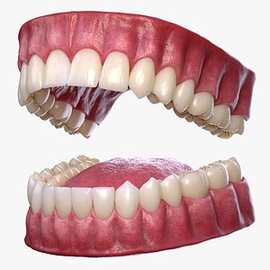 mouth teeth 3D model