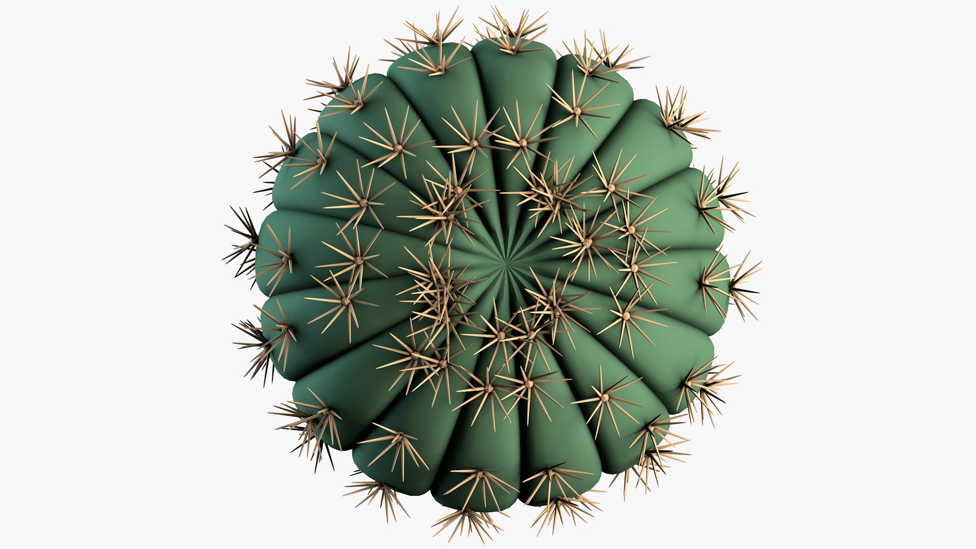 Barrel Cactus 3D https://p.turbosquid.com/ts-thumb/8P/CLpAuQ/HL/cactus_product0005/png/1677791989/1920x1080/fit_q87/9612d930d725086e01ecb746a3793849de193206/cactus_product0005.jpg