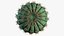 Barrel Cactus