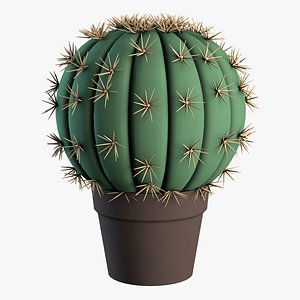 Barrel Cactus 3D