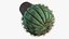 Barrel Cactus