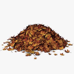 Leaf Pile