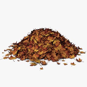Leaf Pile