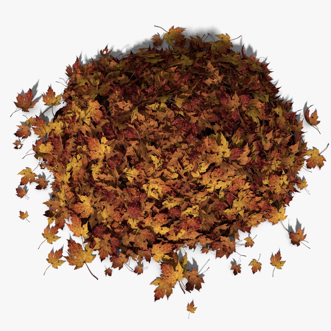 leaves pile png