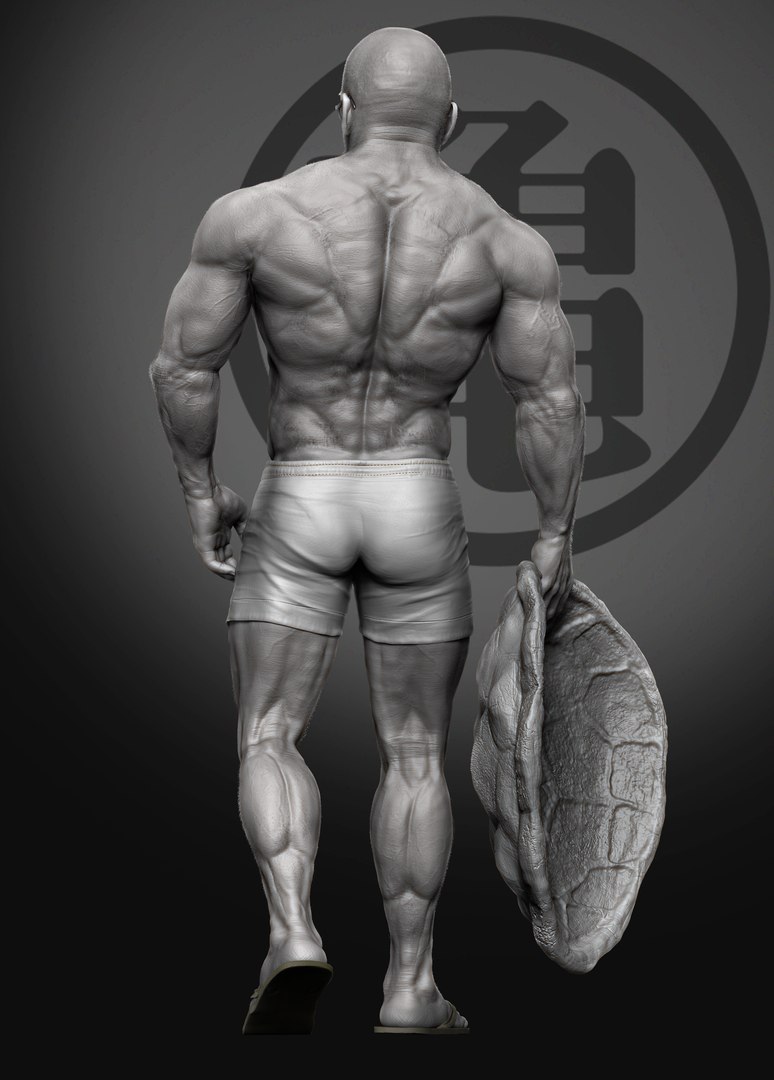 3D Redesign -buff Character- Zbrush - TurboSquid 2421222