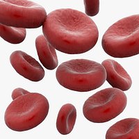 Erythrocytes Red Cell