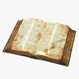 Very Old Open Book 3D model