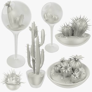 Cactuses in Transparent Pots Collection