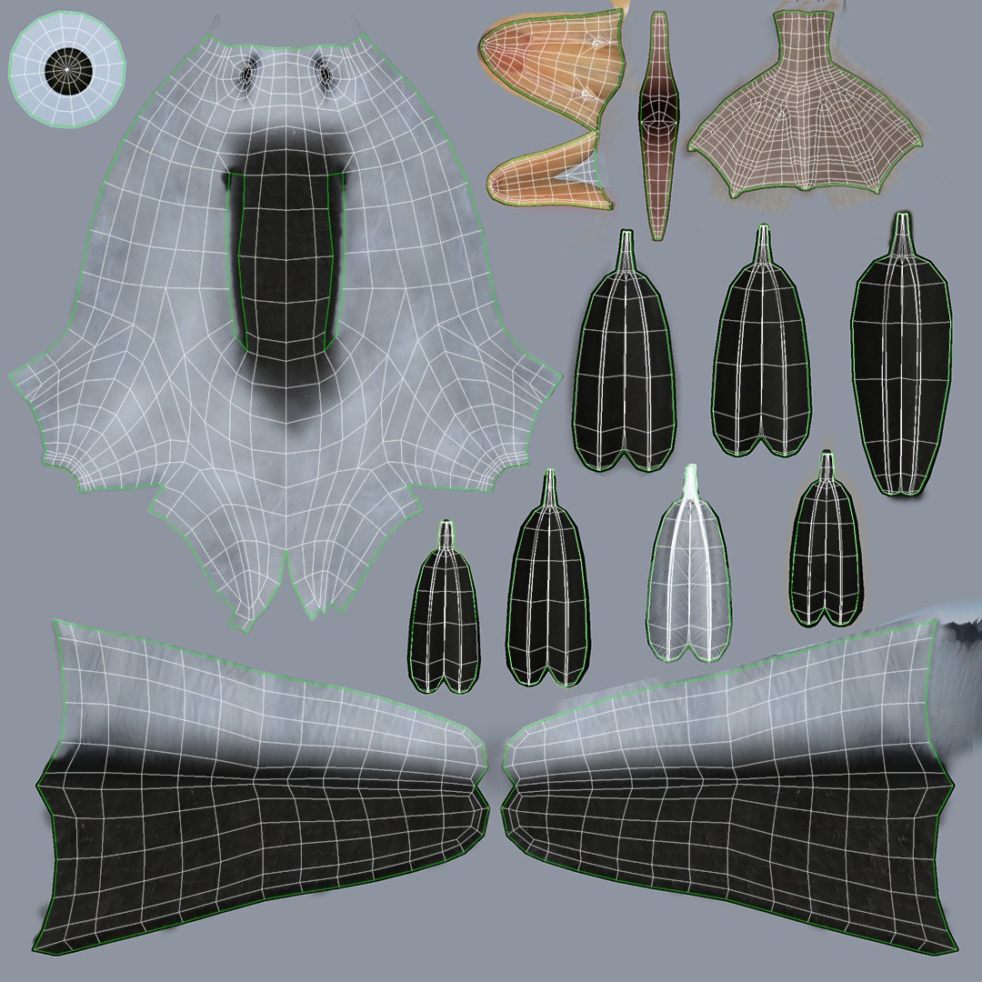 3d albatross https://p.turbosquid.com/ts-thumb/8P/fTipfc/OH/albatross12/jpg/1715487100/1920x1080/fit_q87/45f55e362b3009cb4ff6369cbdb351bea6bcace8/albatross12.jpg