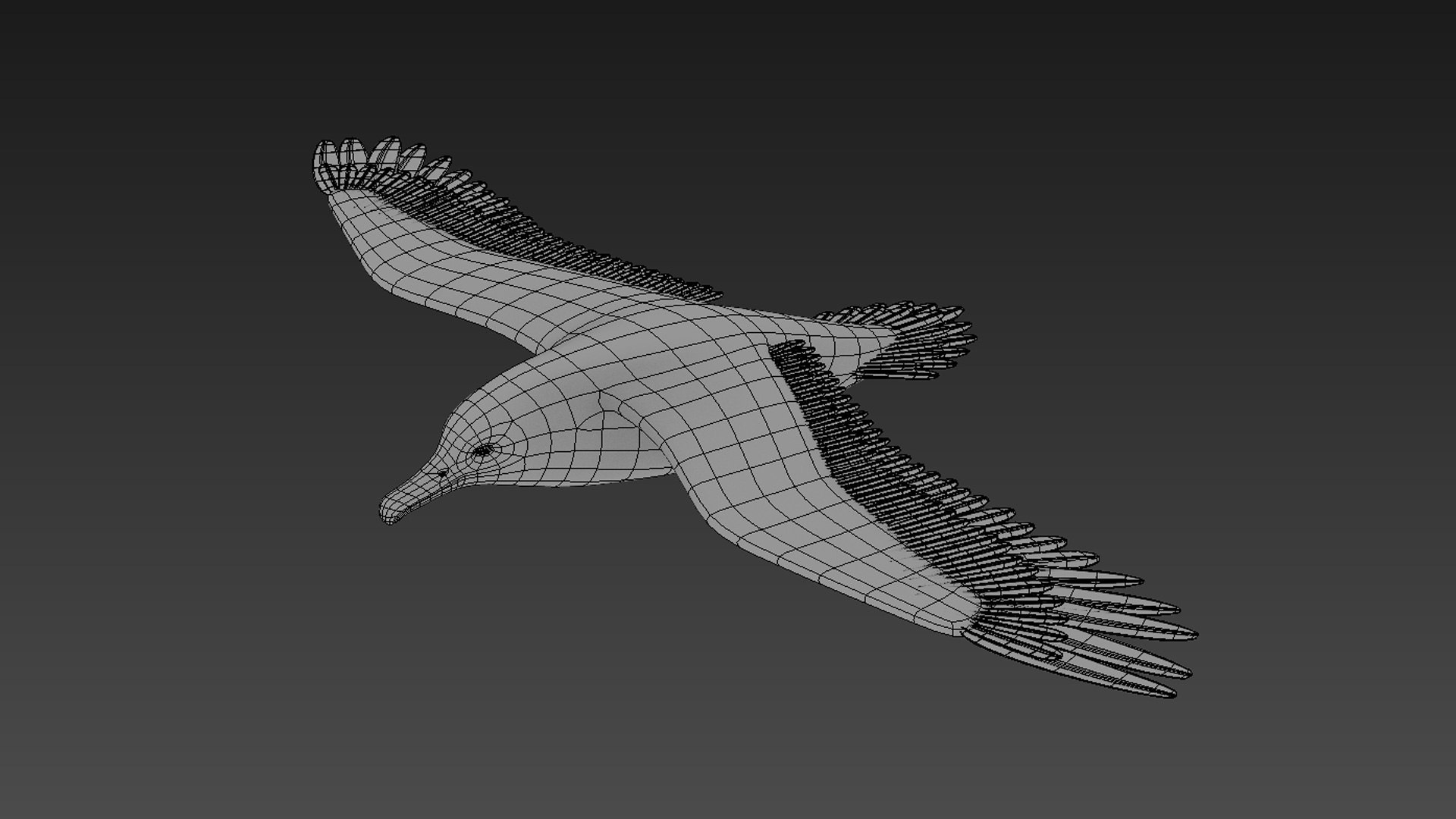 3d albatross https://p.turbosquid.com/ts-thumb/8P/fTipfc/W0/albatross10/jpg/1715487095/1920x1080/fit_q87/bc480c3f208c47065c9ffac340ee81073e2daf29/albatross10.jpg