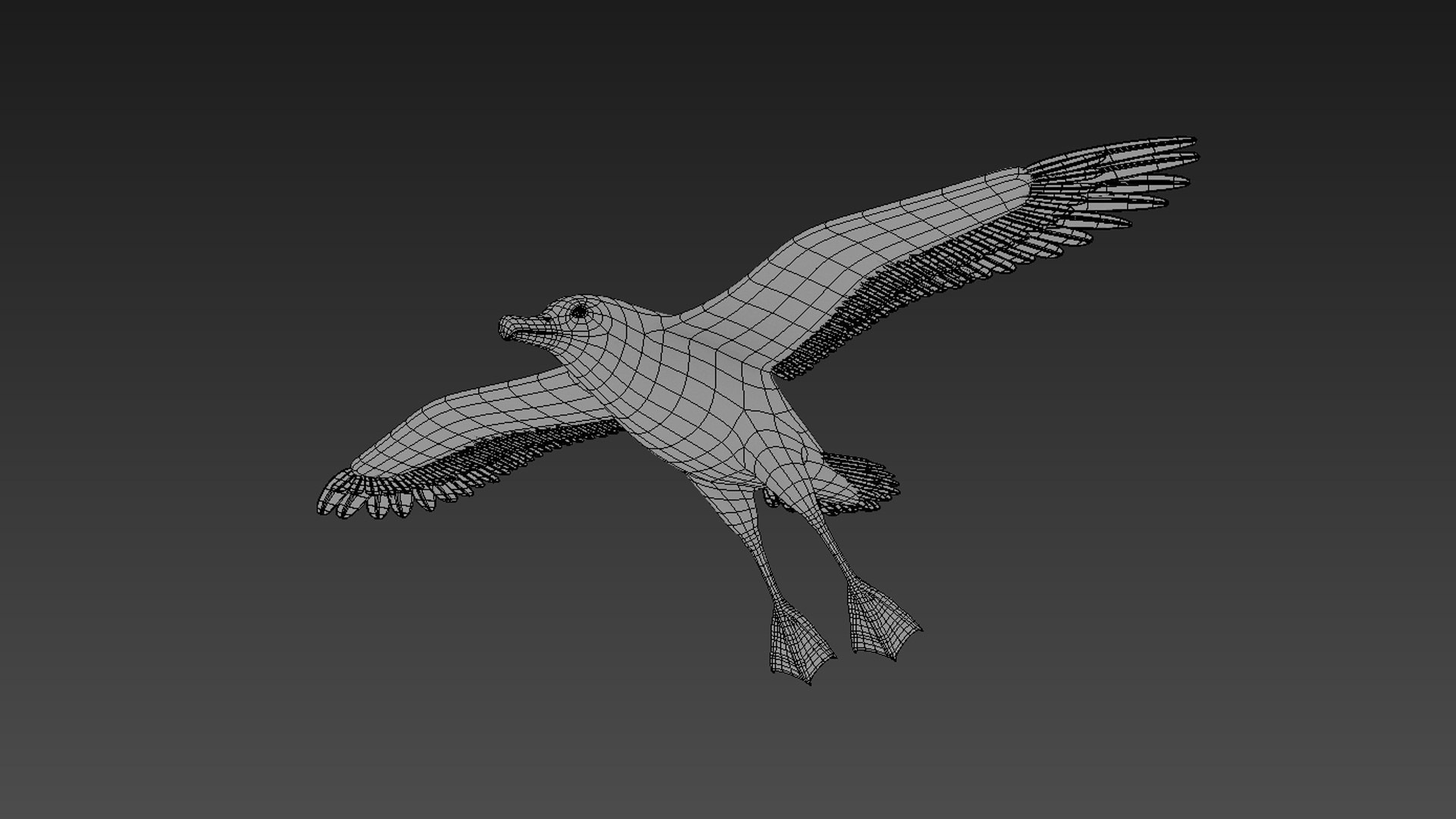 3d albatross https://p.turbosquid.com/ts-thumb/8P/fTipfc/z4/albatross11/jpg/1715487098/1920x1080/fit_q87/6bb8c777cf933447ed7e6c9aad46872a891c1825/albatross11.jpg
