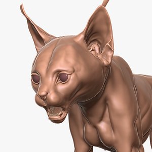 Caracal Cub Primary Forms Zbrush Sculpt model