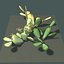 Free Lowpoly Cactus (Max, Fbx)