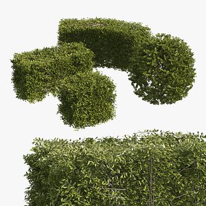 3D 4 shaped topiary plant