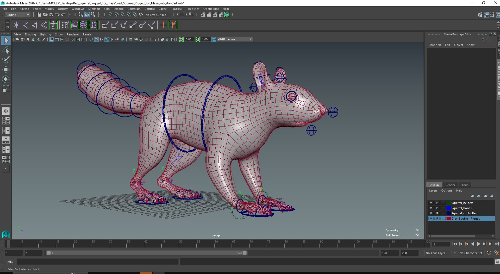 Red Squirrel Rigged For Maya 3D Model - TurboSquid 2279736