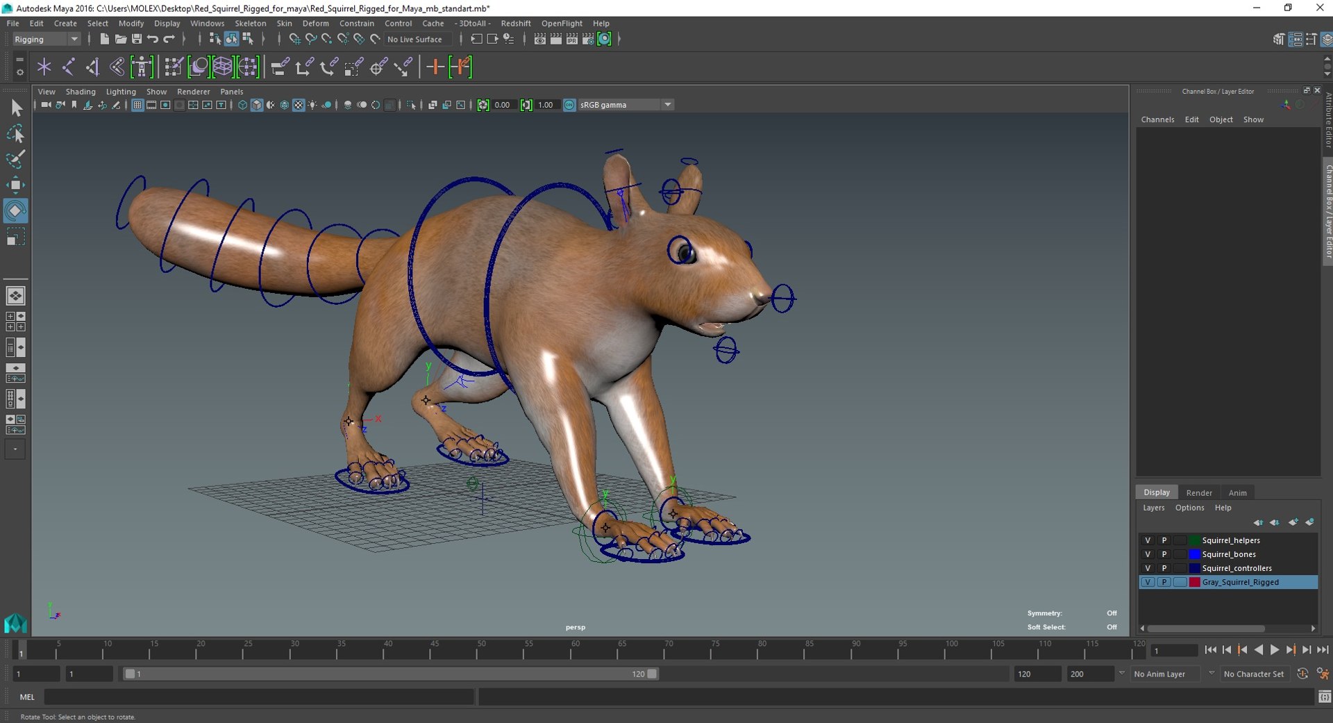Red Squirrel Rigged For Maya 3D Model - TurboSquid 2279736