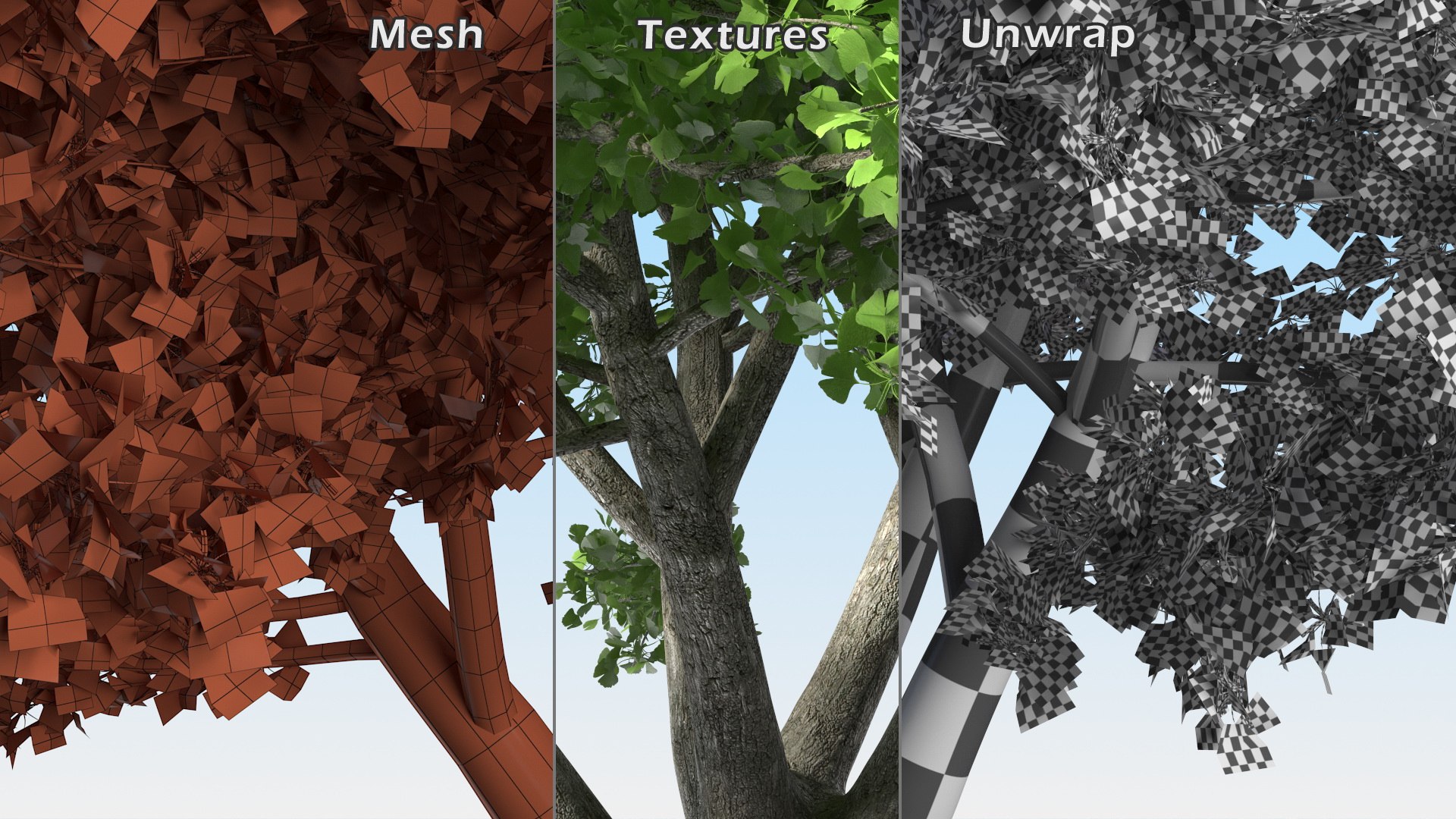 Ginkgo Tree Green 3D model https://p.turbosquid.com/ts-thumb/8Q/7xjgqE/MN/ginkgotreegreenvray3dmodel022/jpg/1643748528/1920x1080/fit_q87/c5d4f395b51aa304e336ba8b43c13f7b308ce7fc/ginkgotreegreenvray3dmodel022.jpg