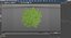 Ginkgo Vert Arbre