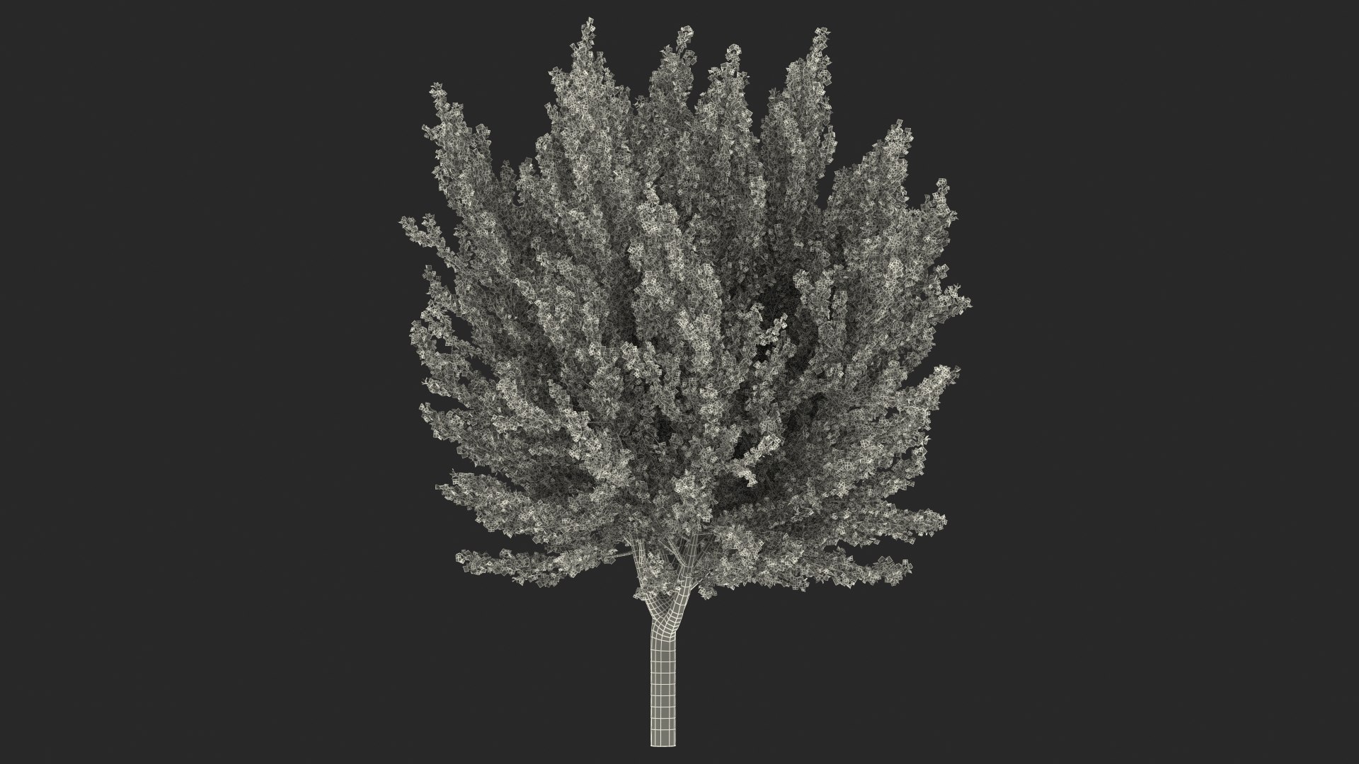 Ginkgo Tree Green 3D model https://p.turbosquid.com/ts-thumb/8Q/7xjgqE/Xc/ginkgotreegreenvray3dmodel030/jpg/1643748554/1920x1080/fit_q87/aa6684e00db315725030be479a3a91a7a1445e8b/ginkgotreegreenvray3dmodel030.jpg