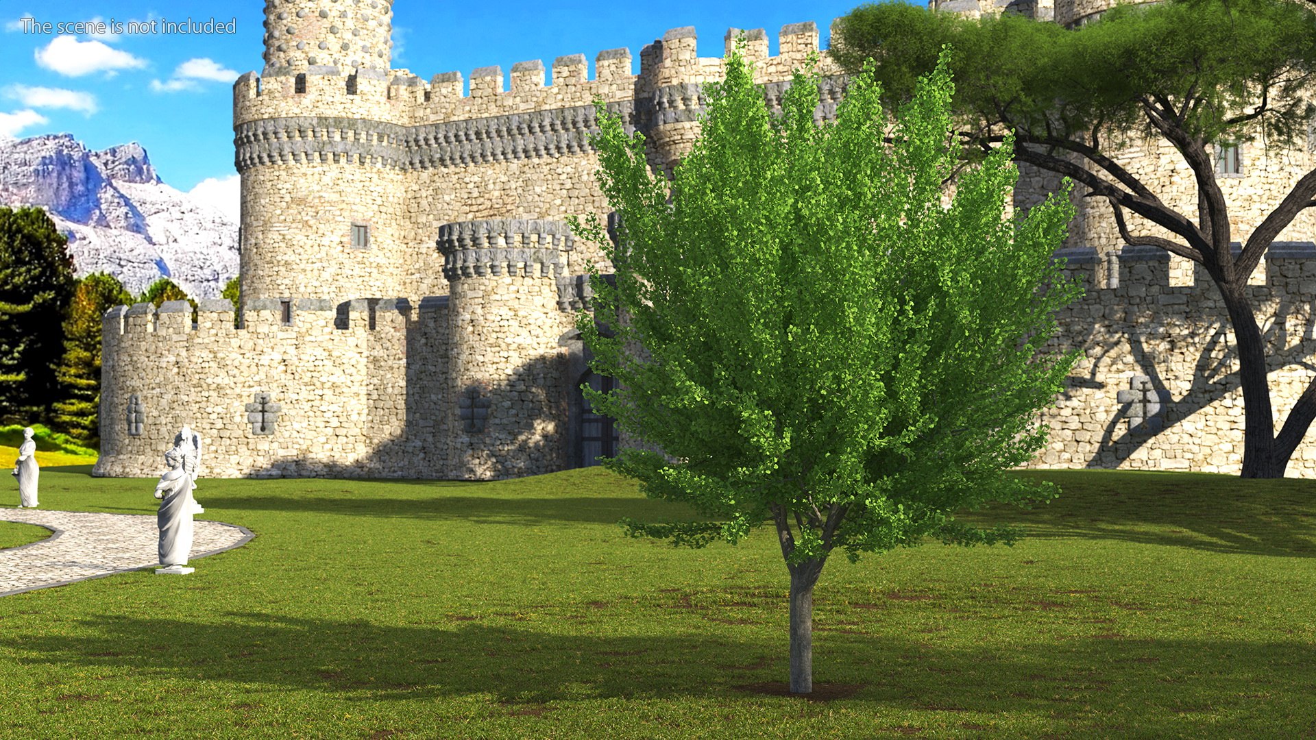 Ginkgo Tree Green 3D model https://p.turbosquid.com/ts-thumb/8Q/7xjgqE/f4/ginkgotreegreenvray3dmodel002/jpg/1643748467/1920x1080/fit_q87/1bc027d1a8a124ae14e8b62399e66d3cd6c64c83/ginkgotreegreenvray3dmodel002.jpg