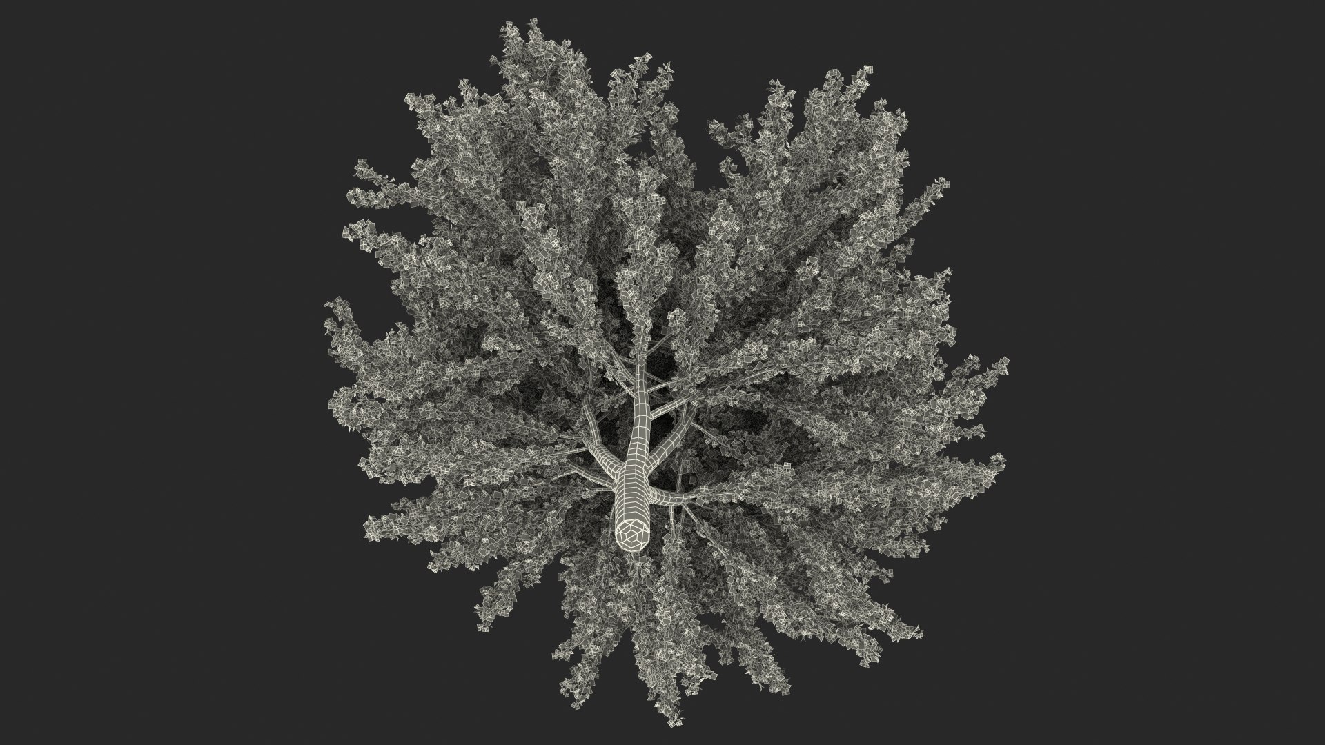 Ginkgo Tree Green 3D model https://p.turbosquid.com/ts-thumb/8Q/7xjgqE/ha/ginkgotreegreenvray3dmodel031/jpg/1643748556/1920x1080/fit_q87/074d378da4703ac22cd4bbaabb32f33418ecf512/ginkgotreegreenvray3dmodel031.jpg
