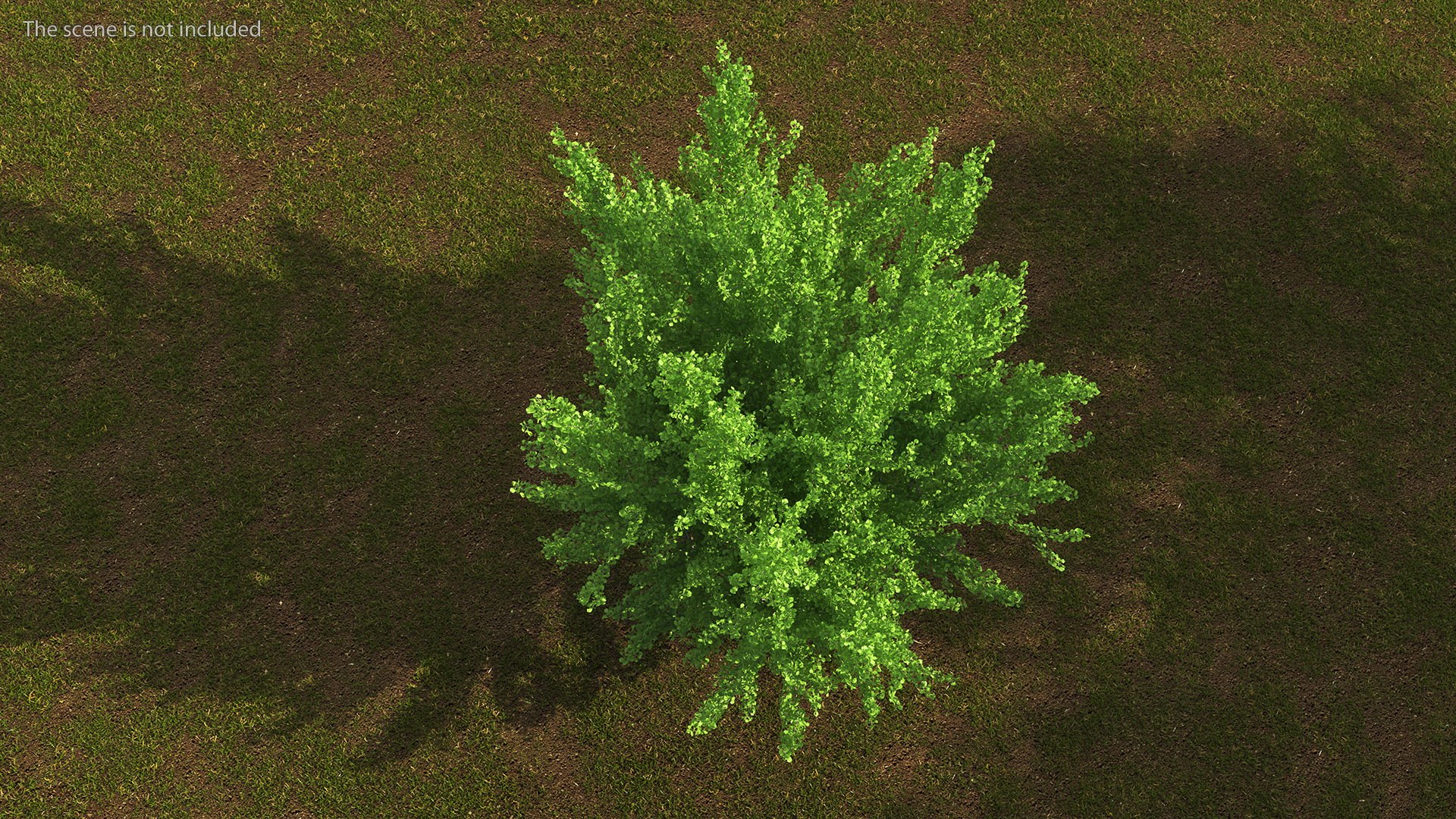 Ginkgo Tree Green 3D model https://p.turbosquid.com/ts-thumb/8Q/7xjgqE/n9/ginkgotreegreenvray3dmodel003/jpg/1643748471/1920x1080/fit_q87/4e8f60a747146efdd167ab5dd797b4e85084869e/ginkgotreegreenvray3dmodel003.jpg