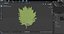 Ginkgo Vert Arbre