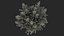 Ginkgo Vert Arbre