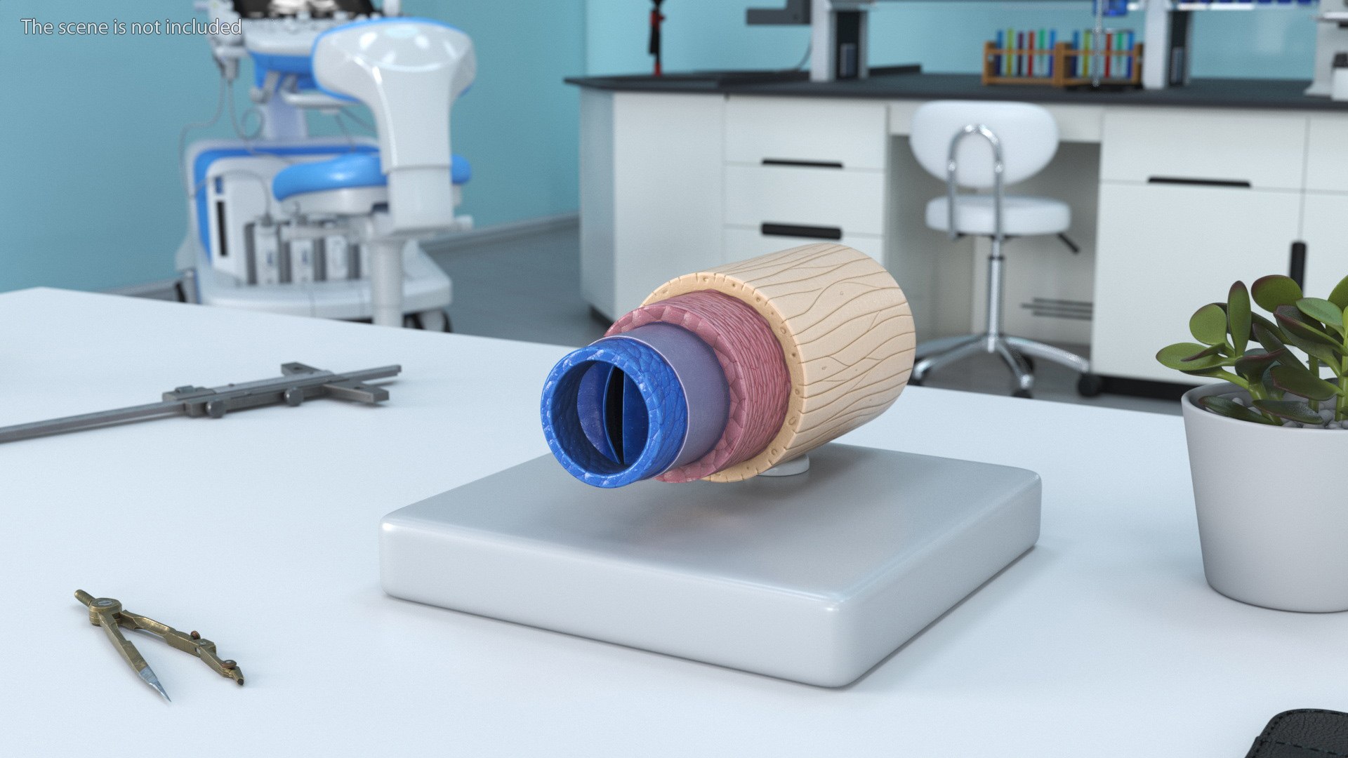 3D Model of Vein in Cross Section model https://p.turbosquid.com/ts-thumb/8Q/CHhwOU/dB/model_of_vein_in_cross_section_003/jpg/1746916080/1920x1080/fit_q87/ab495cd562729d0d368d94de94a70491f263f7ed/model_of_vein_in_cross_section_003.jpg