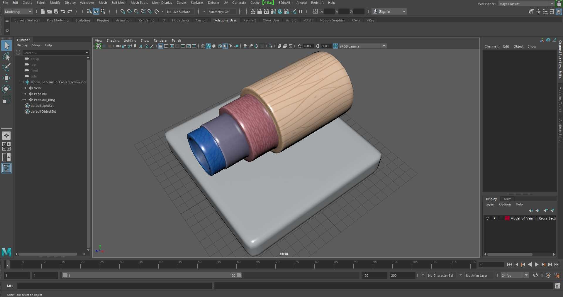 3D Model of Vein in Cross Section model https://p.turbosquid.com/ts-thumb/8Q/CHhwOU/fZ/model_of_vein_in_cross_section_1004/jpg/1746916136/1920x1080/fit_q87/ce1fd3484b3fe6a9bd468c3c090fcf4cb61e924c/model_of_vein_in_cross_section_1004.jpg
