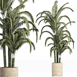 palm plants 3D