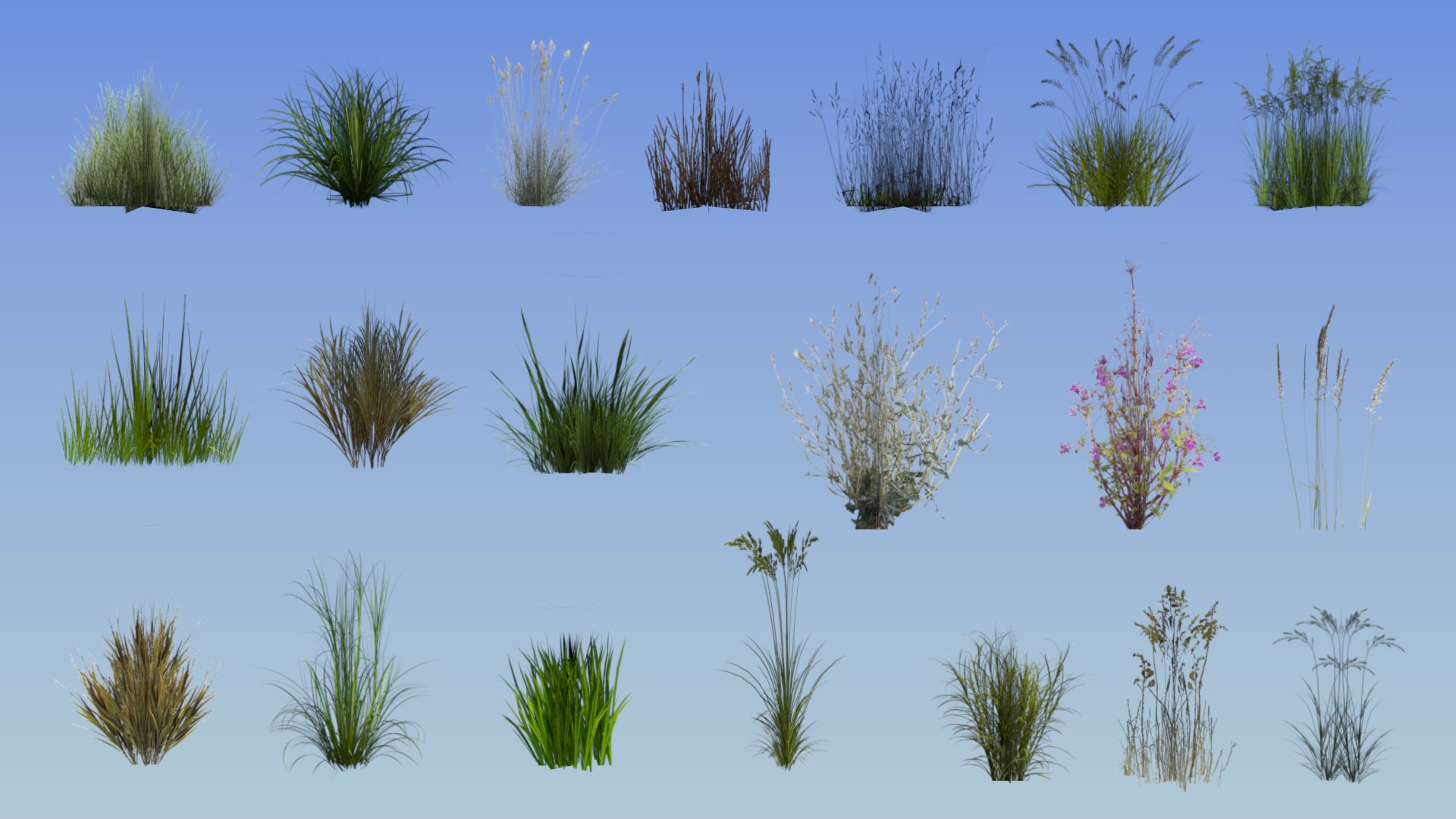 grass plant 20 3D model https://p.turbosquid.com/ts-thumb/8Q/KMfNlE/Axutkzxj/collgrass2/png/1549884403/1920x1080/fit_q87/5c131c261d3e7c9238b352c7de98100ce13cfb79/collgrass2.jpg