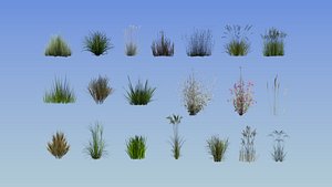 grass plant 20 3D model