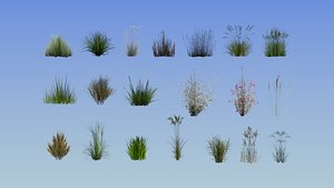 20 grass collection