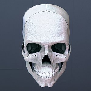 The Skull