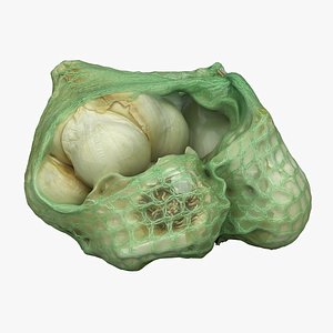 Garlic 02