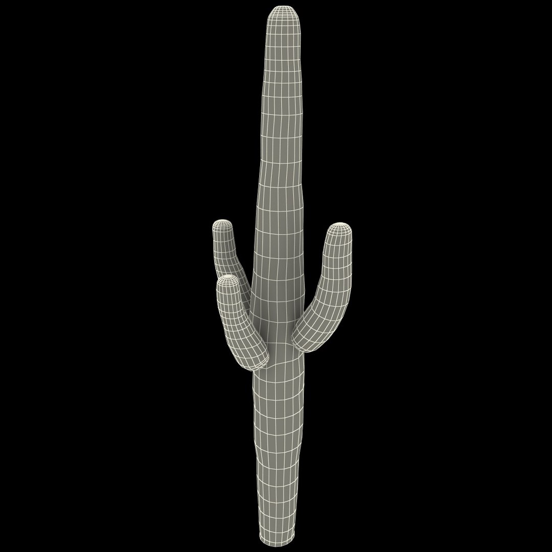 3d mexican cactus model https://p.turbosquid.com/ts-thumb/8Q/hfE0MM/JOaGKYSE/mexicancactus_160/jpg/1393355203/1920x1080/fit_q87/f83fd5819a6c8b52b19e1721ec069a88ef65ac93/mexicancactus_160.jpg