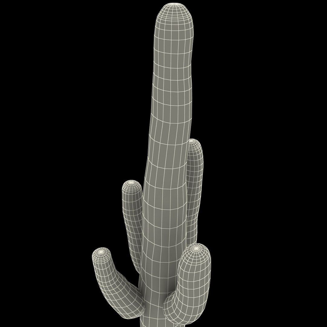 3d mexican cactus model https://p.turbosquid.com/ts-thumb/8Q/hfE0MM/LOCQm2Hc/mexicancactus_164/jpg/1393355217/1920x1080/fit_q87/4f1558b4169f6ad1143fcfbbe0fc034e03ab6320/mexicancactus_164.jpg