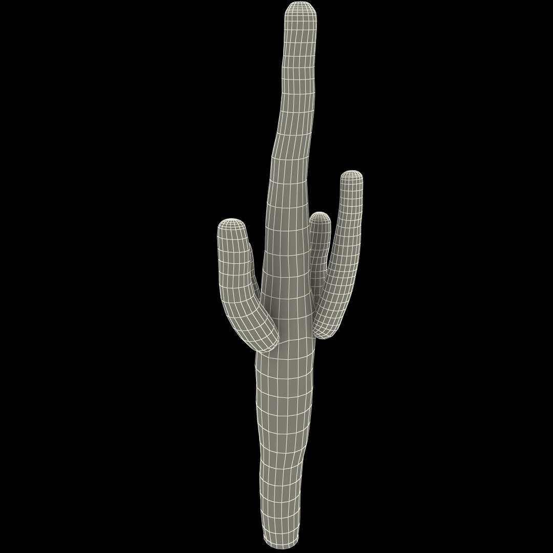 3d mexican cactus model https://p.turbosquid.com/ts-thumb/8Q/hfE0MM/TvlU3WSy/mexicancactus_161/jpg/1393355206/1920x1080/fit_q87/be2f66854b854320018c4f7a81abba3b84e8d1ad/mexicancactus_161.jpg
