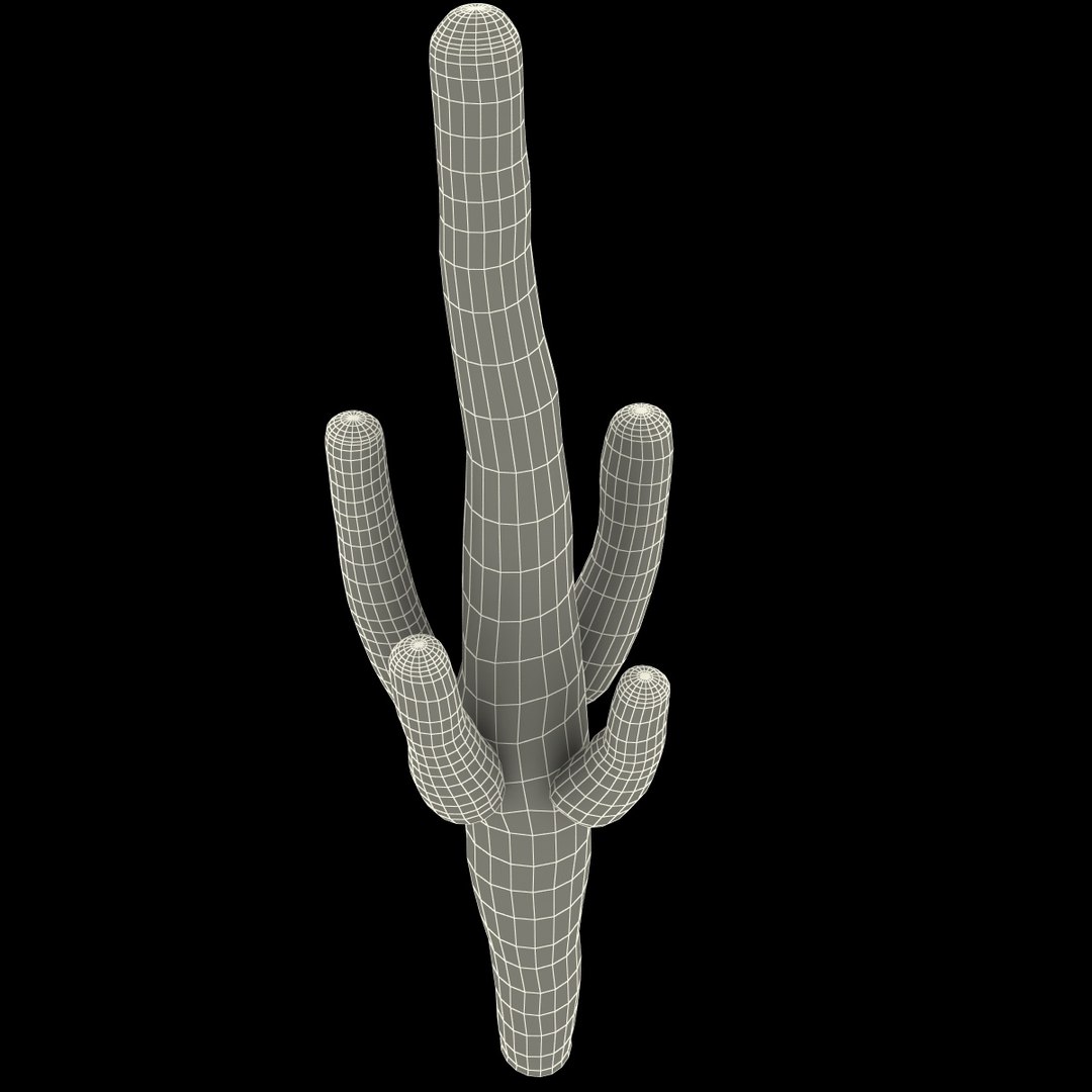 3d mexican cactus model https://p.turbosquid.com/ts-thumb/8Q/hfE0MM/Z5D4T5fd/mexicancactus_163/jpg/1393355213/1920x1080/fit_q87/f23457f626458783a2925cc3b4317f54eb0c7976/mexicancactus_163.jpg