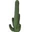 Mexican Cactus